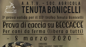 Tenuta Bonicelli