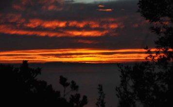 I Cinghiali del Monte
