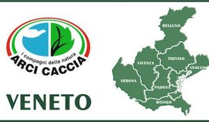 Veneto