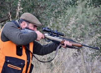 Caccia al cinghiale. “Tris in trasferta”..