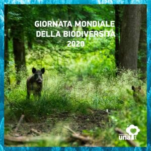 giornata mondiale della biodiversità