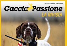 Caccia Passione Anno IX – n°04/05 Maggio 2020 rivista di caccia