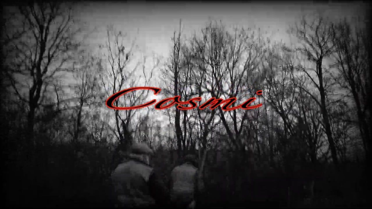 Cosmi Fucili.. Pezzi unici tutti made in Italy..