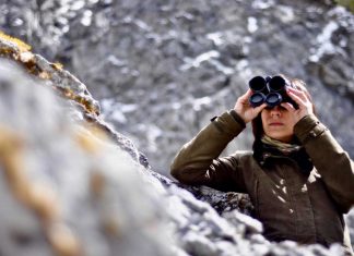 L’essenza della Caccia