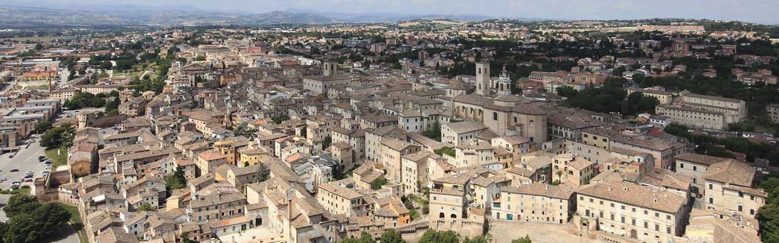 verdicchio di Jesi verdicchio di Jesi