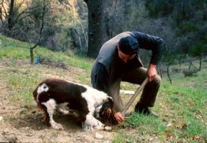 Appennino Lucano