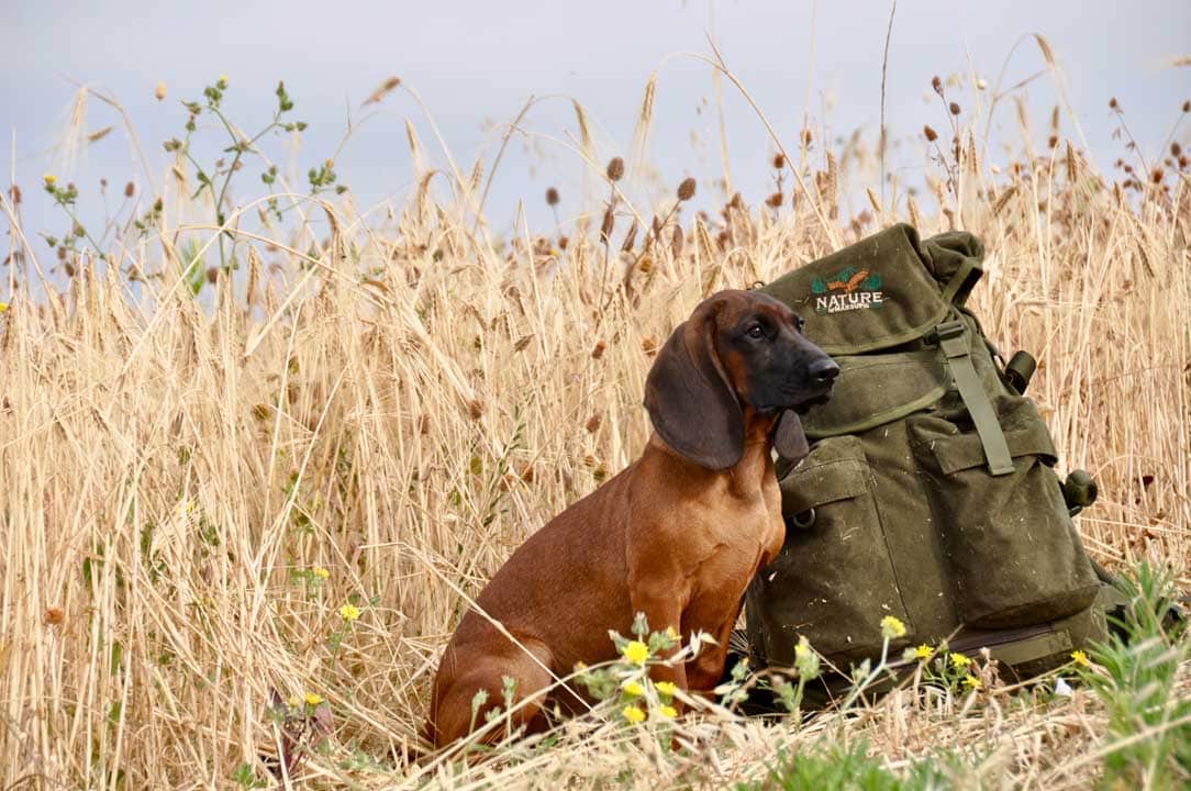 Mochila de caza SUEDE 28 PF PRO con bolsillo para rifle Marsupio