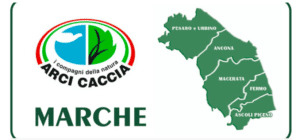 Marche