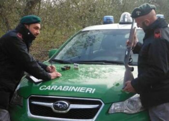I cacciatori bresciani danno mandato ai legali contro i Carabinieri Forestali che hanno violato le regole