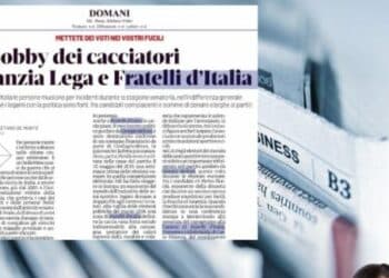 On. Mazzali risponde ad articolo del Domani: “Tante inesattezze e preconcetti”