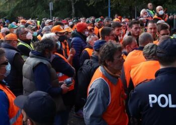 On. Mazzali: “La caccia e i cacciatori meritano rispetto”