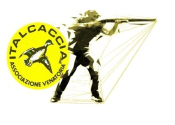 Referendum abolizione caccia, Italcaccia: “Si continua a confondere bracconaggio e attività venatoria”