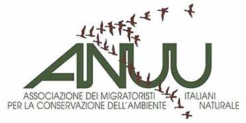Emergenza cinghiali in Ciociaria, ANUU chiede abbattimenti
