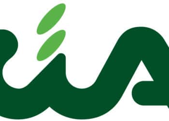 CIA Potenza prende posizione sui cinghiali e i danni all’agricoltura