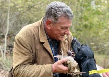 Caccia alla beccaccia.. Il debutto di Moro