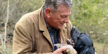 Caccia alla beccaccia.. Il debutto di Moro