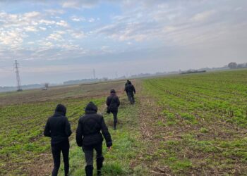 In Brianza e nel Comasco aumentano le ronde animaliste contro i cacciatori