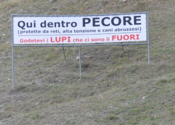 Modena, la protesta dell’azienda agricola: prodotti venduti solo a chi è favorevole al controllo dei lupi