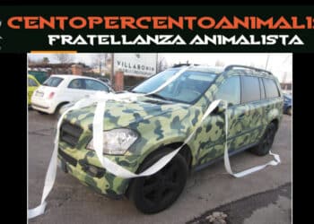 Animalisti organizzano già il presidio contro l’HIT Show, il commento dell’on. Mazzali