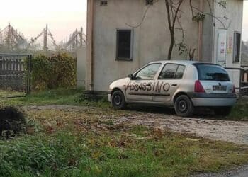 On. Mazzali: “La madre degli animalisti delinquenti è sempre incinta”