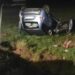 Feltre, cervo fugge dai lupi e finisce travolto da un’auto: impatto tremendo