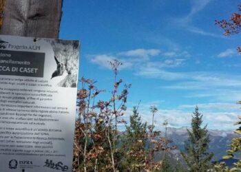 Inanellamento Caset, il trentesimo anno di attività termina con oltre 11mila catture