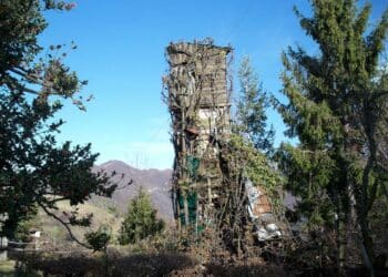 Federcaccia: “I roccoli tra fascino, magia e attualità”