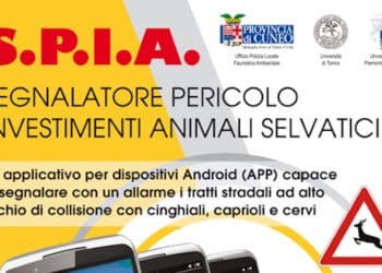 Cuneo