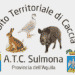Sulmona