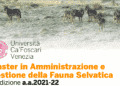 Università Ca’ Foscari, aperte iscrizioni al master 2021-2022 per gestione fauna selvatica