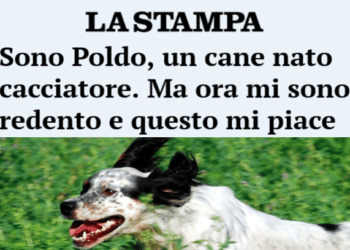 La Stampa pubblica un articolo contro i cacciatori: le solite accuse prive di fondamento