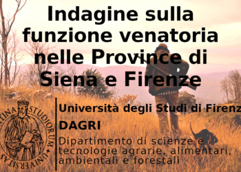 Siena, l’impatto economico della caccia è compreso tra i 13 e i 32,5 milioni di euro