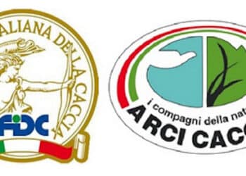 Associazione unica, Arci Caccia contro Federcaccia: “Buconi fa troppa confusione”