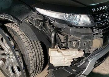 Scontro con branco di cinghiali nel Veronese: auto distrutta ma padre e figlio illesi