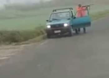 Spara ai cinghiali dalla strada, Federcaccia Alessandria: “Responsabile individuato ed espulso”