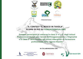 Al via il contest “Il Bosco in Tavola” per la valorizzazione della selvaggina marchigiana