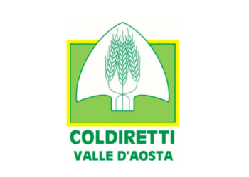 Cinghiali e trichinella, Coldiretti Valle d’Aosta: “Senza contenimento, rischio malattie per uomo”