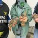 Sardegna, vendevano pernici vive su internet: denunciate due persone
