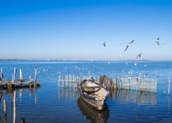 Puglia, pescatore rischia di annegare nel Lago di Lesina: salvato dai cacciatori
