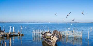 Puglia, pescatore rischia di annegare nel Lago di Lesina: salvato dai cacciatori
