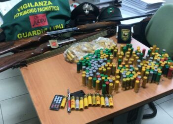 Vasta operazione antibracconaggio in Campania. Denunciati 11 bracconieri.