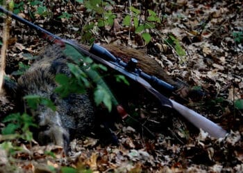 Sabatti SKL 20 e Sight Mark Citadel a caccia nella Tenuta Bonicelli