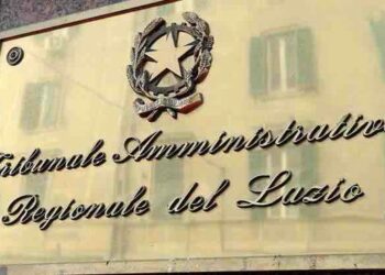 La revoca del porto d’armi deve tenere conto anche della capacità lavorativa del titolar