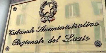 La revoca del porto d’armi deve tenere conto anche della capacità lavorativa del titolar