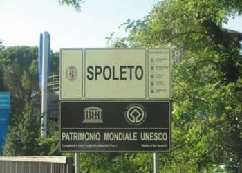 Umbria, a Spoleto potrebbe sorgere il centro di raccolta per il cinghiale