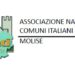 ANCI Molise chiede proroga della caccia al cinghiale