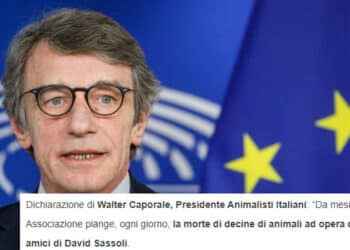 Gli animalisti speculano anche sulla morte di David Sassoli