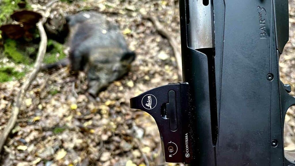 leica red dot caccia al cinghiale