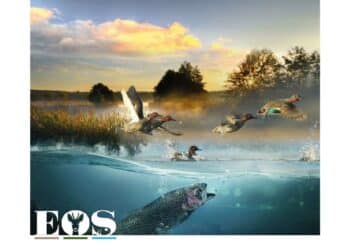 EOS ’22: differimento necessario sarà dal 30 aprile al 2 maggio 2022