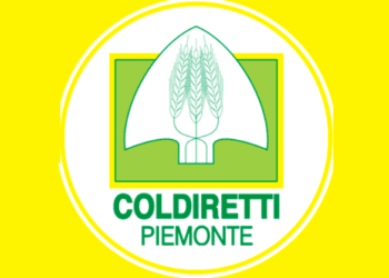 Contenimento fauna selvatica, Coldiretti Piemonte: “Regione ha fallito”